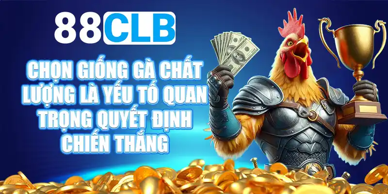 Sảnh đá gà trực tiếp 88CLB có gì hay?