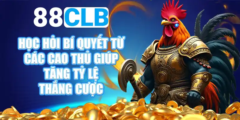 Các loại kèo Cá Cược Đá Gà phổ biến