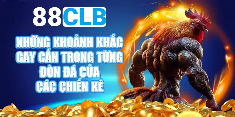 Bí quyết tăng cơ hội thắng lớn khi xem trực tiếp đá gà Online 