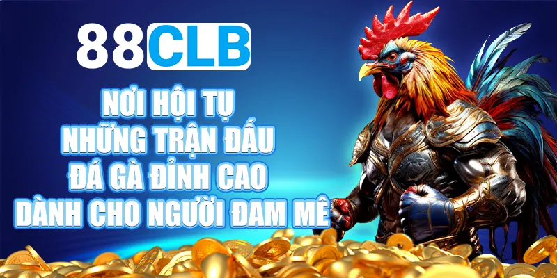 Đa dạng kèo cược tại nhà cái cá cược đá gà 88CLB