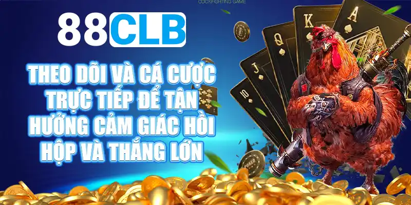 Những điểm nổi bật khi xem trực tiếp đá gà tại 88CLB