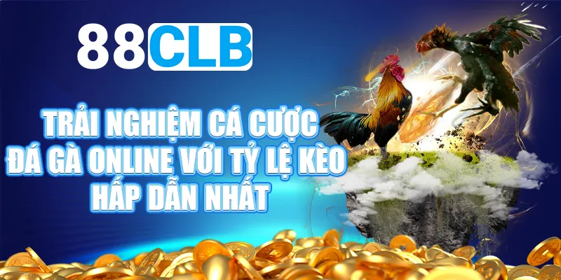 88CLB- Nhà cái cá cược đá gà hàng đầu