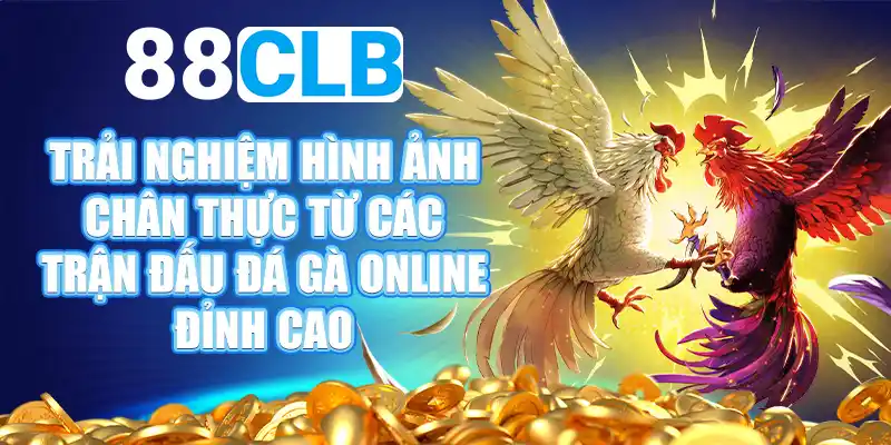 Xem trực tiếp đá gà ở đâu?